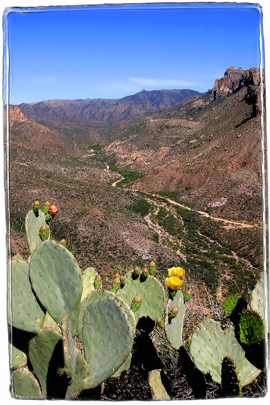 Desert Road Near Tortilla Flats, AZ � Dave Hickey